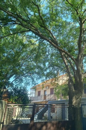 Holiday house with a parking space Siritovci, Krka - 23081
